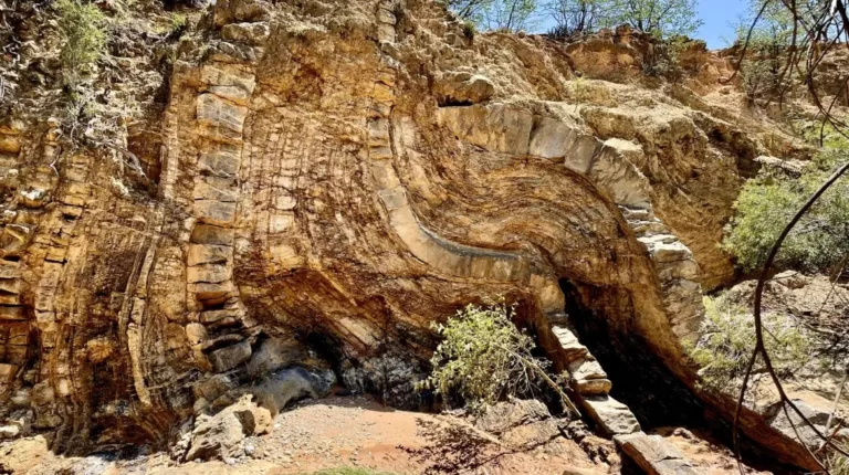 Amazing fossils and rock formations on day trips from Kaoko Mopane Lodge